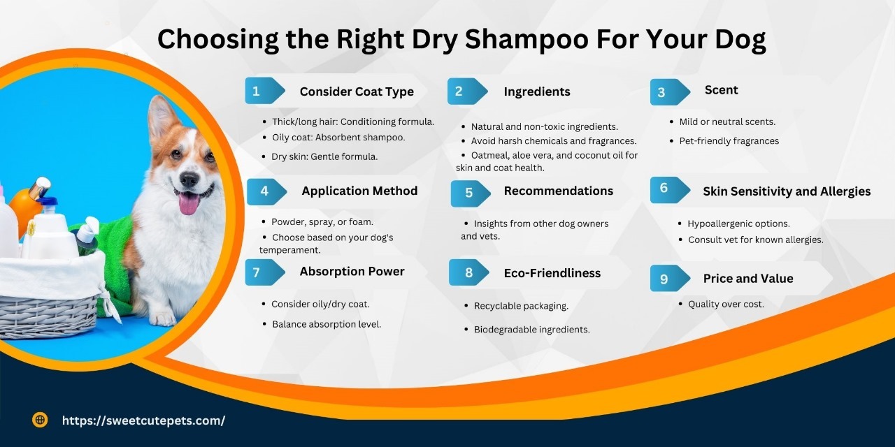 Choosing the Best Dry Shampoos For Dogs Sweet Cute Pets