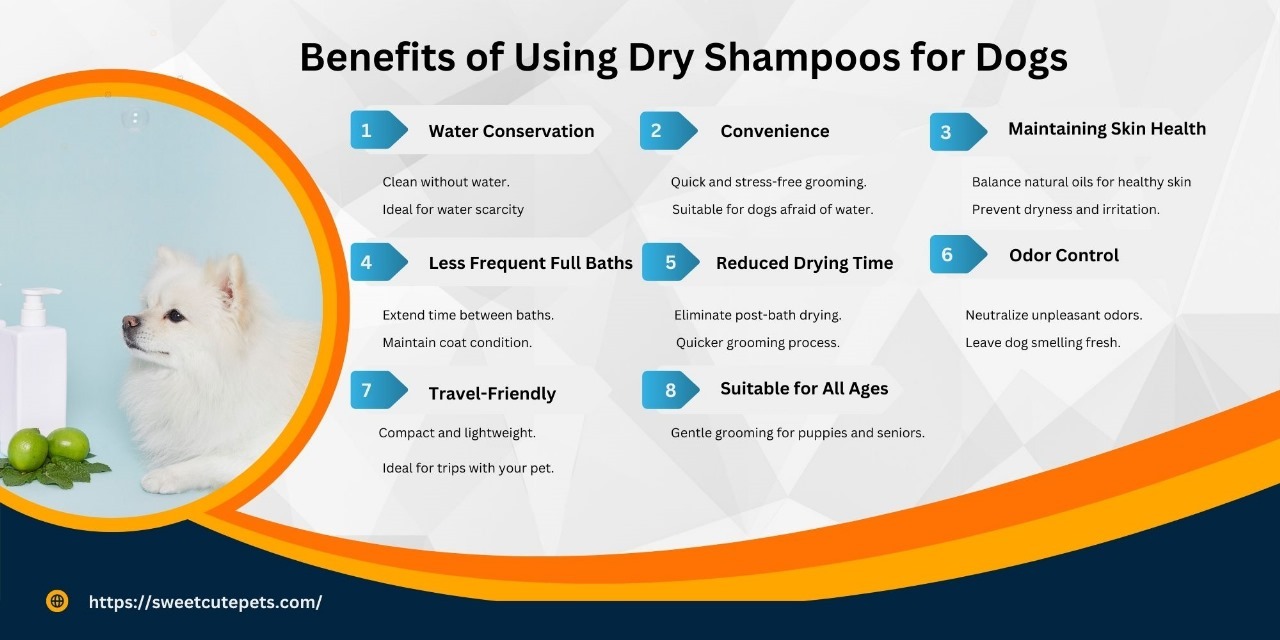 Choosing the Best Dry Shampoos For Dogs Sweet Cute Pets