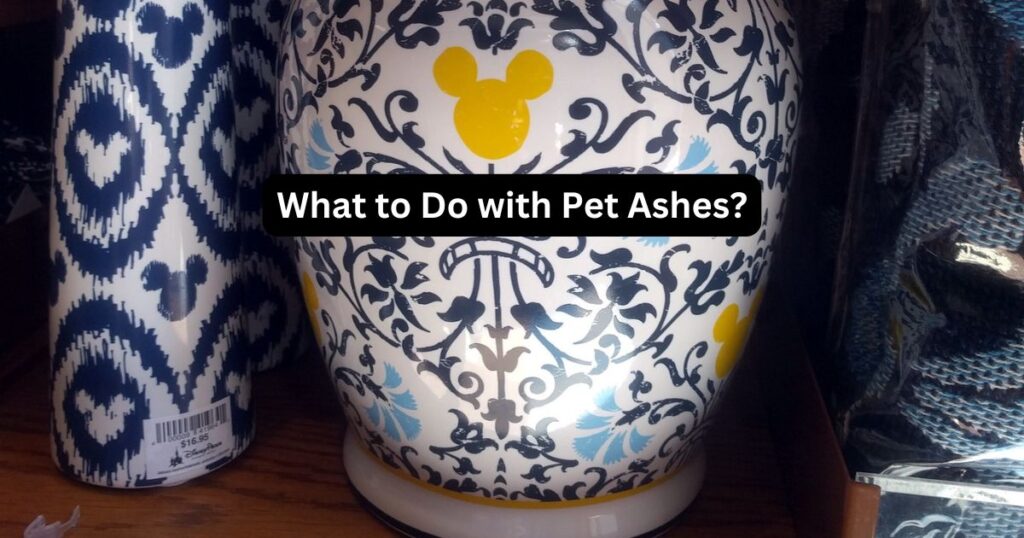 What to Do with Pet Ashes